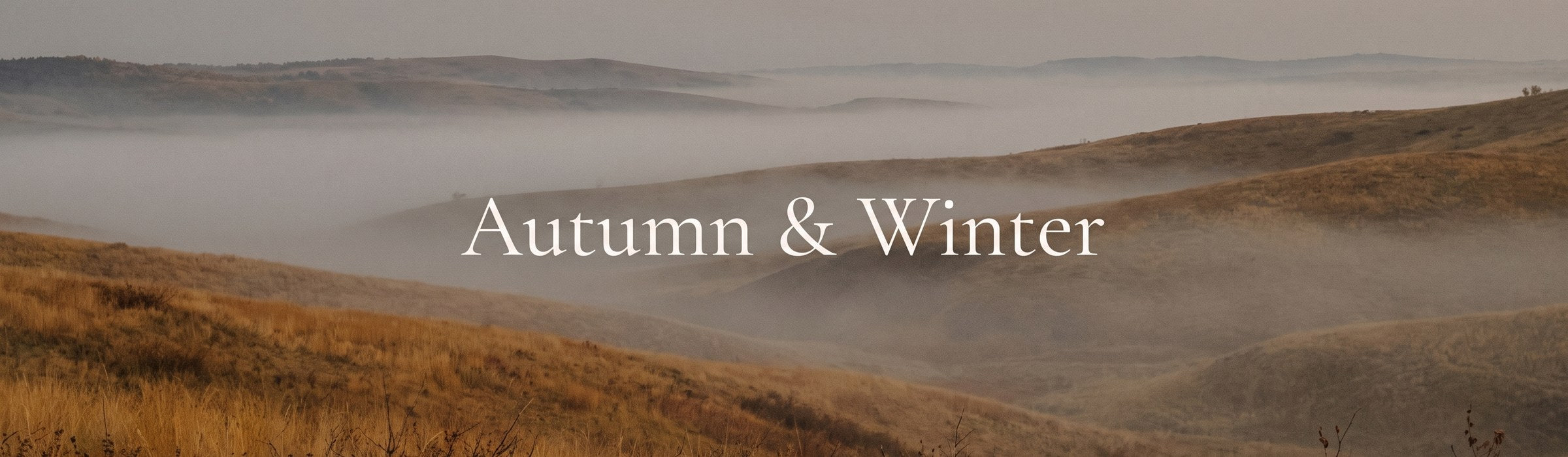 Autumn & Winter