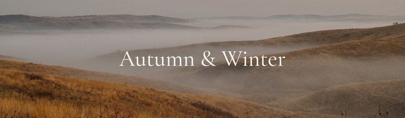 Autumn & Winter
