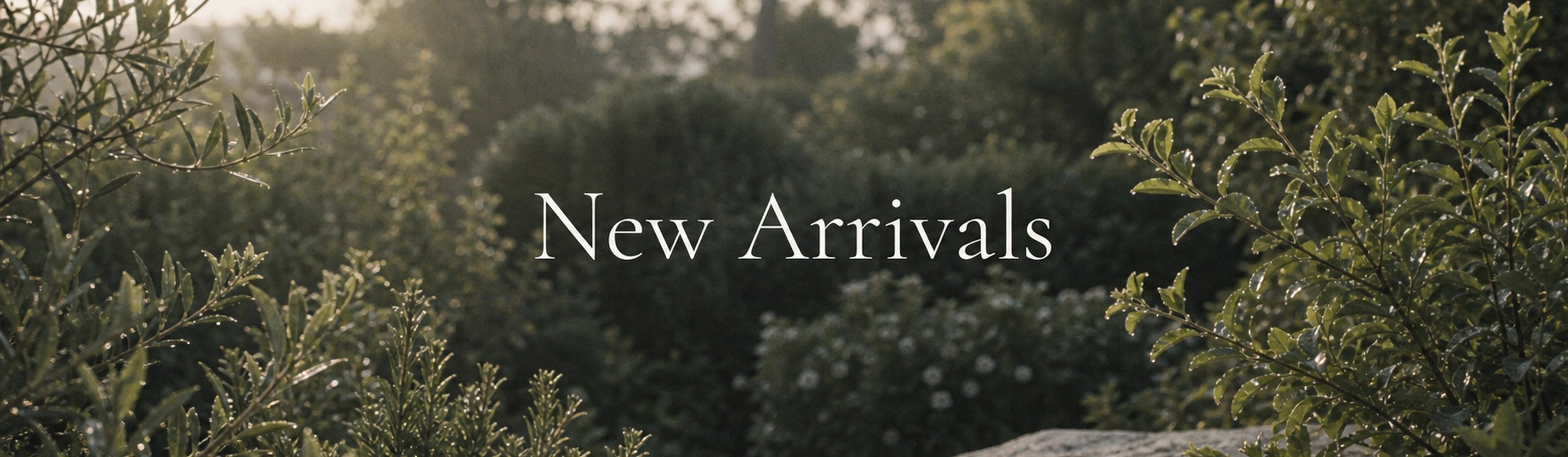 New Arrivals