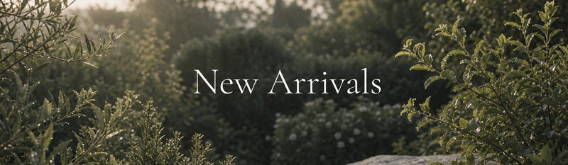 New Arrivals