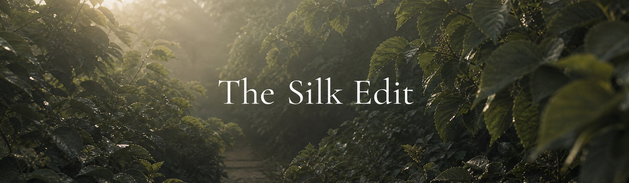 The Silk Edit