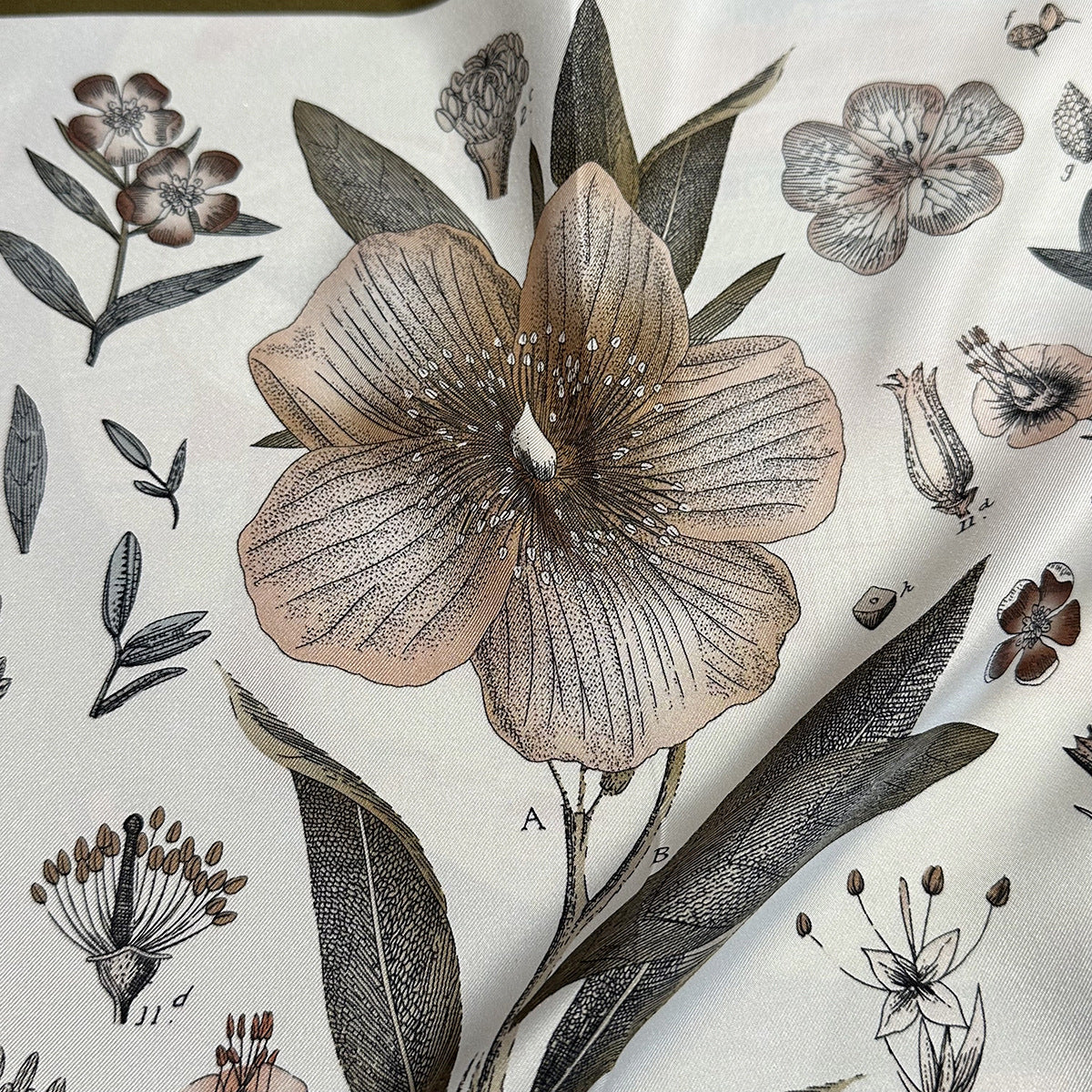 Reverse cool gray side of Wildfool botanical silk scarf showing same plant specimens