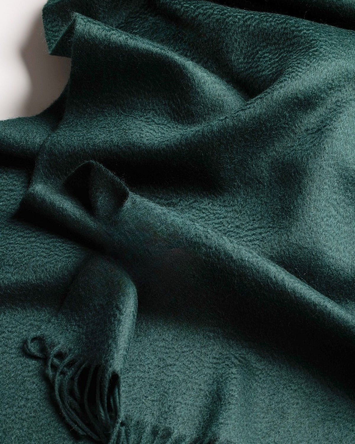 The Dune 100% Cashmere Scarf in Forest